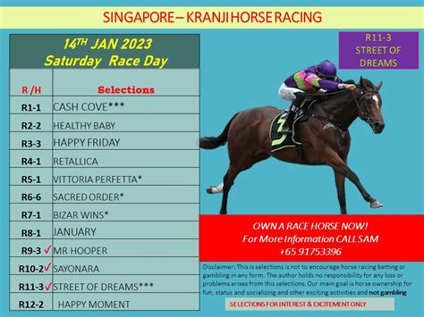 singapore horse results|Horse ownership on the rise in Singapore, Life & Culture.